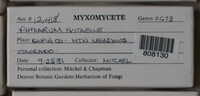 Image Associated With the Occurence